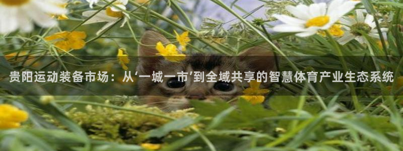 征途国际娱乐平台:贵阳运动装备市场:从‘一城一市’到全域共享